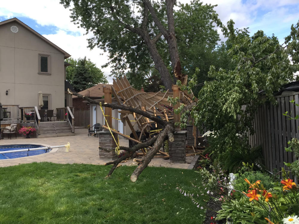 photo of a fallen tree damaging a house