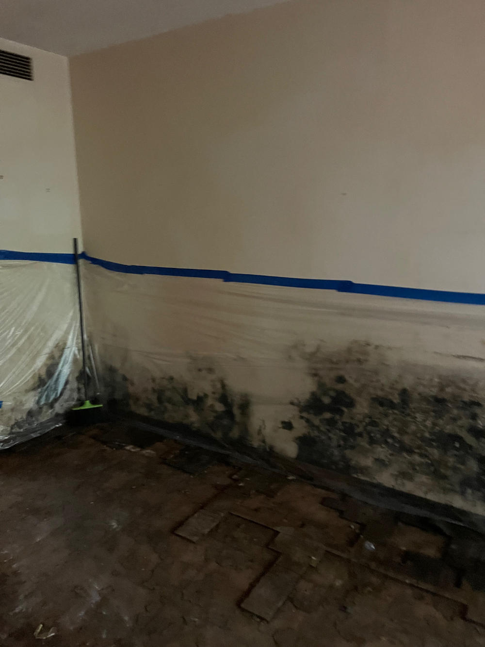 mold on wall